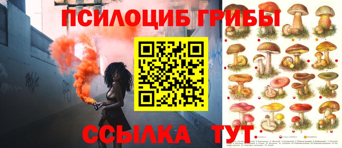 Галлюциногенные грибы Magic Shrooms Губкинский